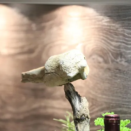 Haus Anna - 3 Apartmán *