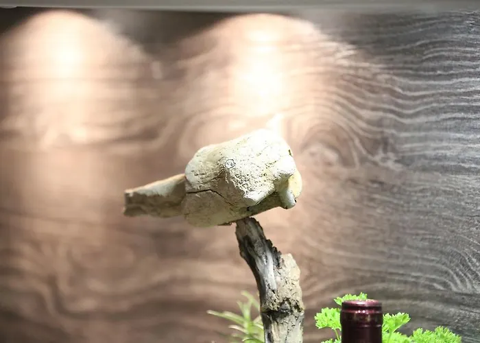 Haus Anna - 3 アパート *